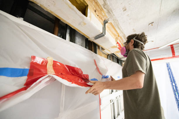 Best Mold Removal for HVAC Installations  in San Bruno, CA