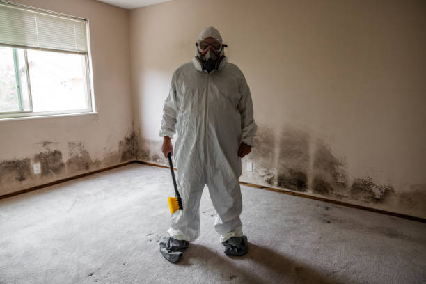 Best Mold Prevention Services  in San Bruno, CA